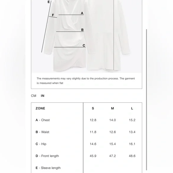 Zara Printed Tulle Dress - Picture 8 of 8